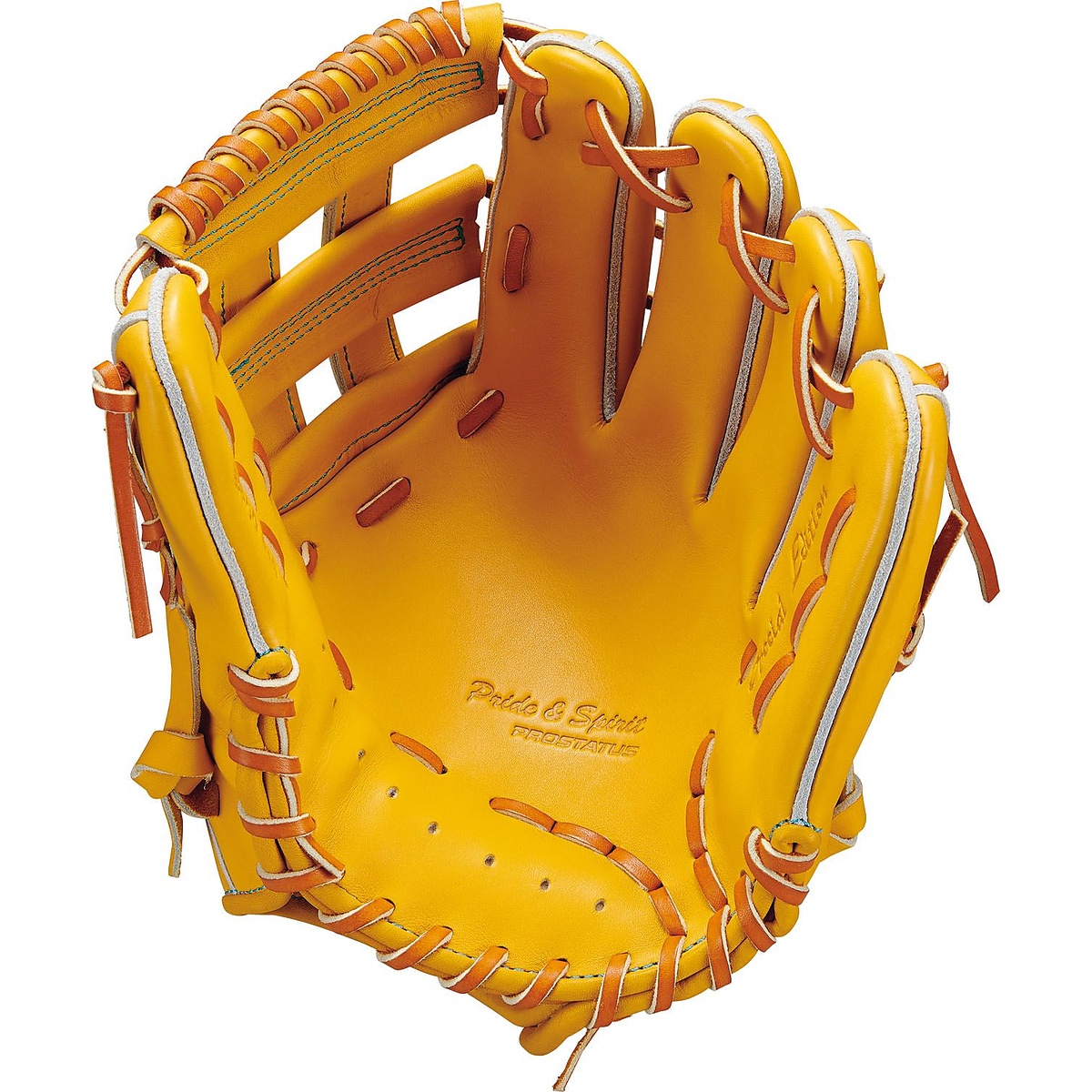 コウシキグラブ(プロステイタス)2601SE