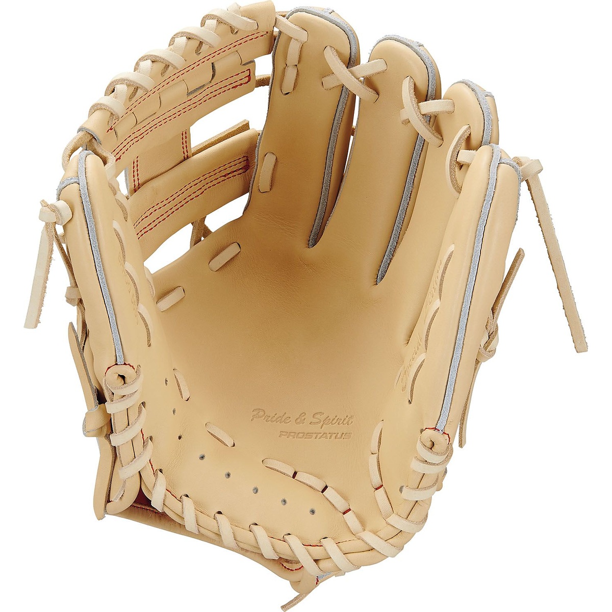 コウシキグラブ(プロステイタス)2404SE