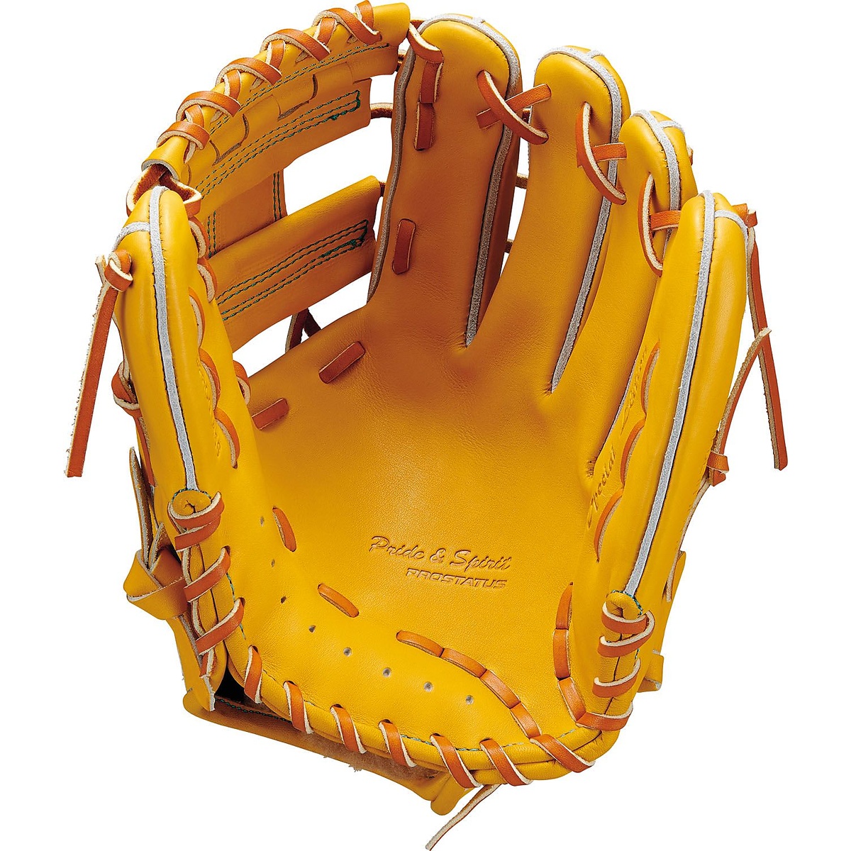 コウシキグラブ(プロステイタス)2404SE