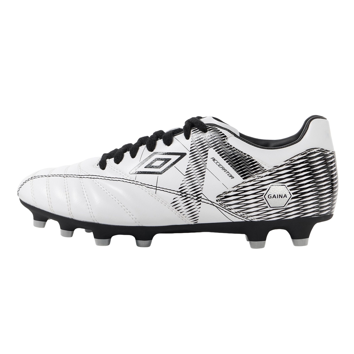 アクセレーター +GAINA HG