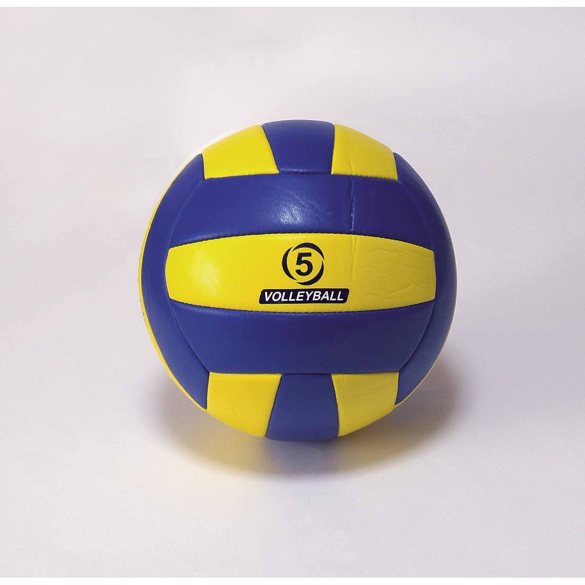 バレーボール5ゴウMS
