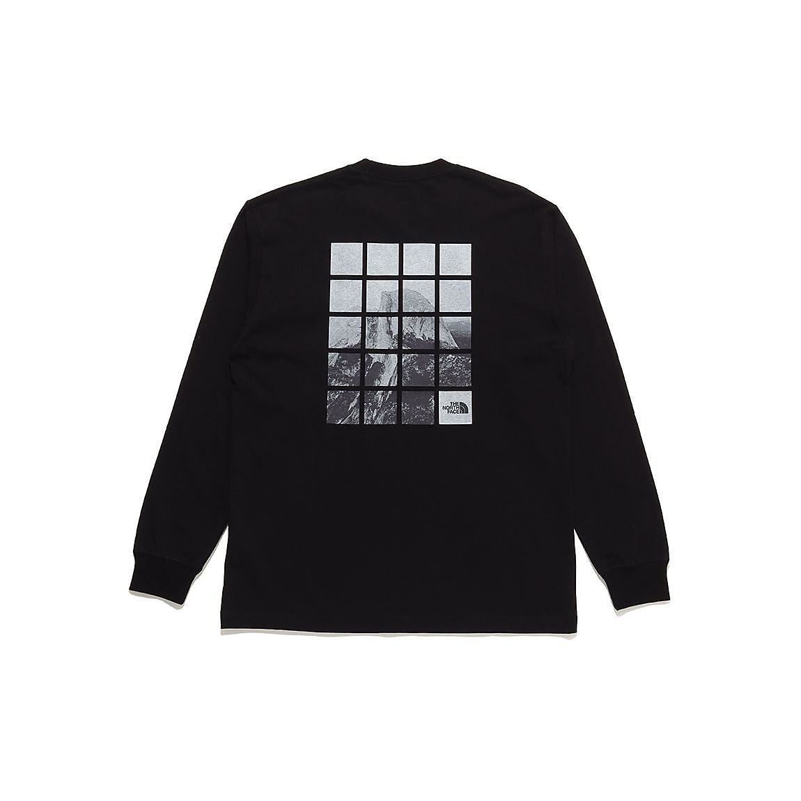 L/S HFDM WINDOW T(L/SハーフドームウィンドウT)