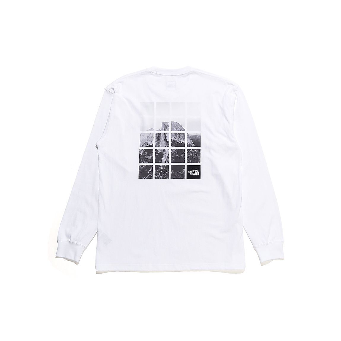 L/S HFDM WINDOW T(L/SハーフドームウィンドウT)