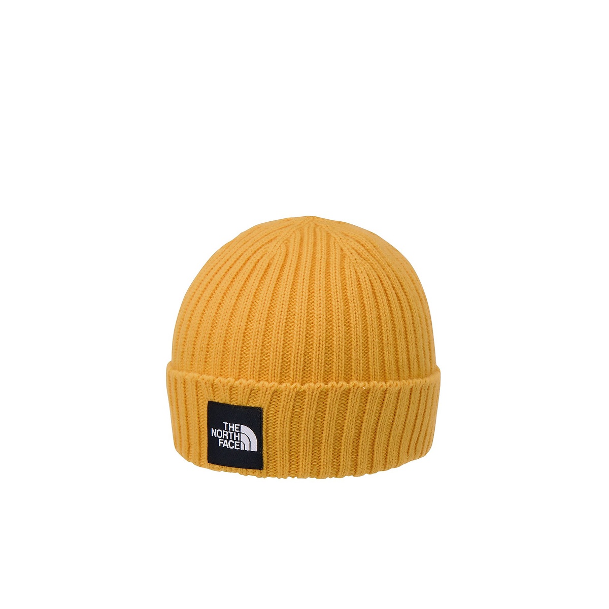 CAPPUCHO LID(カプッチョリッド)