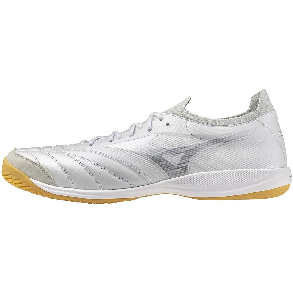 モレリアネオ サラ ベータ JP IN