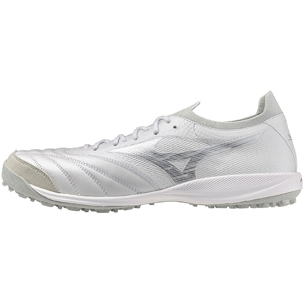 モレリアネオ サラ ベータ JP TF