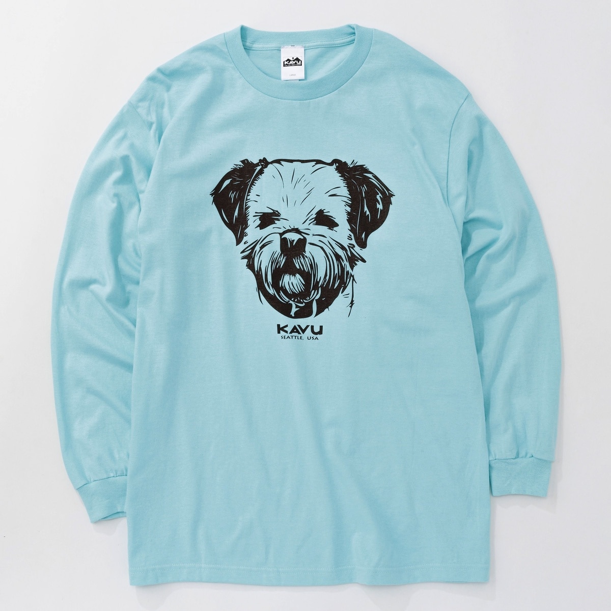 KAVU　LS　25ドッグTee　Celadon　L