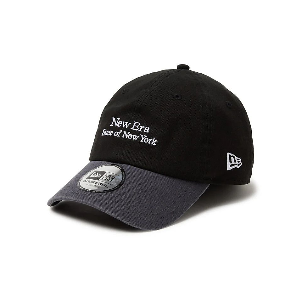 CC STATE OF NY BLK DGRY