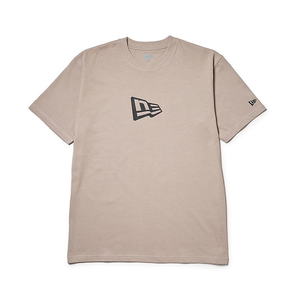SS CT TEE FLAG LOGO MID RGRY