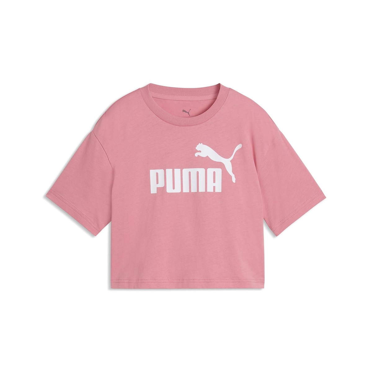 ESS NO.1 ロゴ ショート レングス Tシャツ G