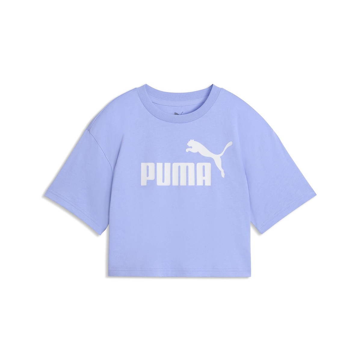 ESS NO.1 ロゴ ショート レングス Tシャツ G