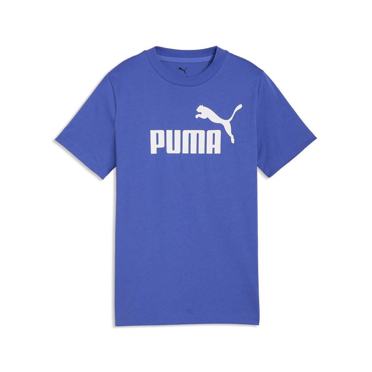 ESS NO.1 ロゴ Tシャツ B