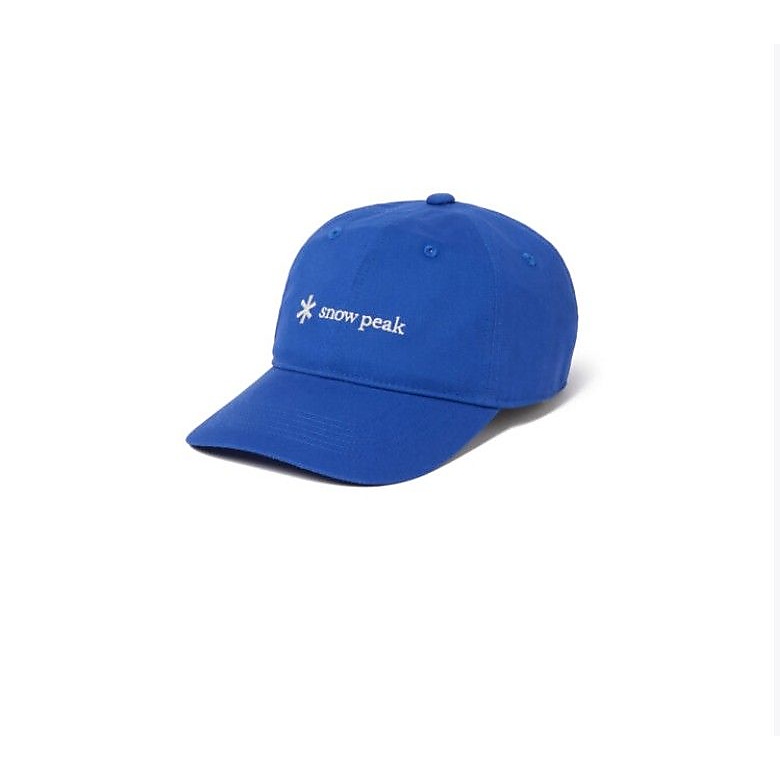 New Standard Logo Cap 1 BLUE