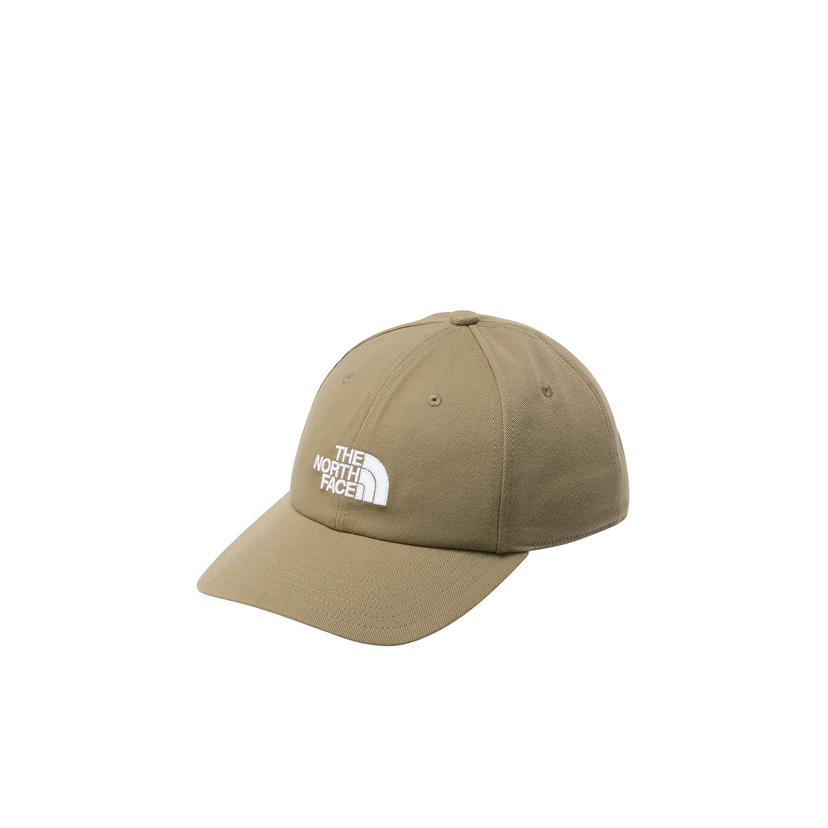 TNF LOGO CAP (TNFロゴキャップ)