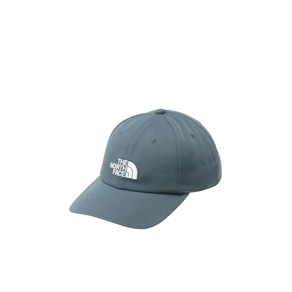 TNF LOGO CAP (TNFロゴキャップ)