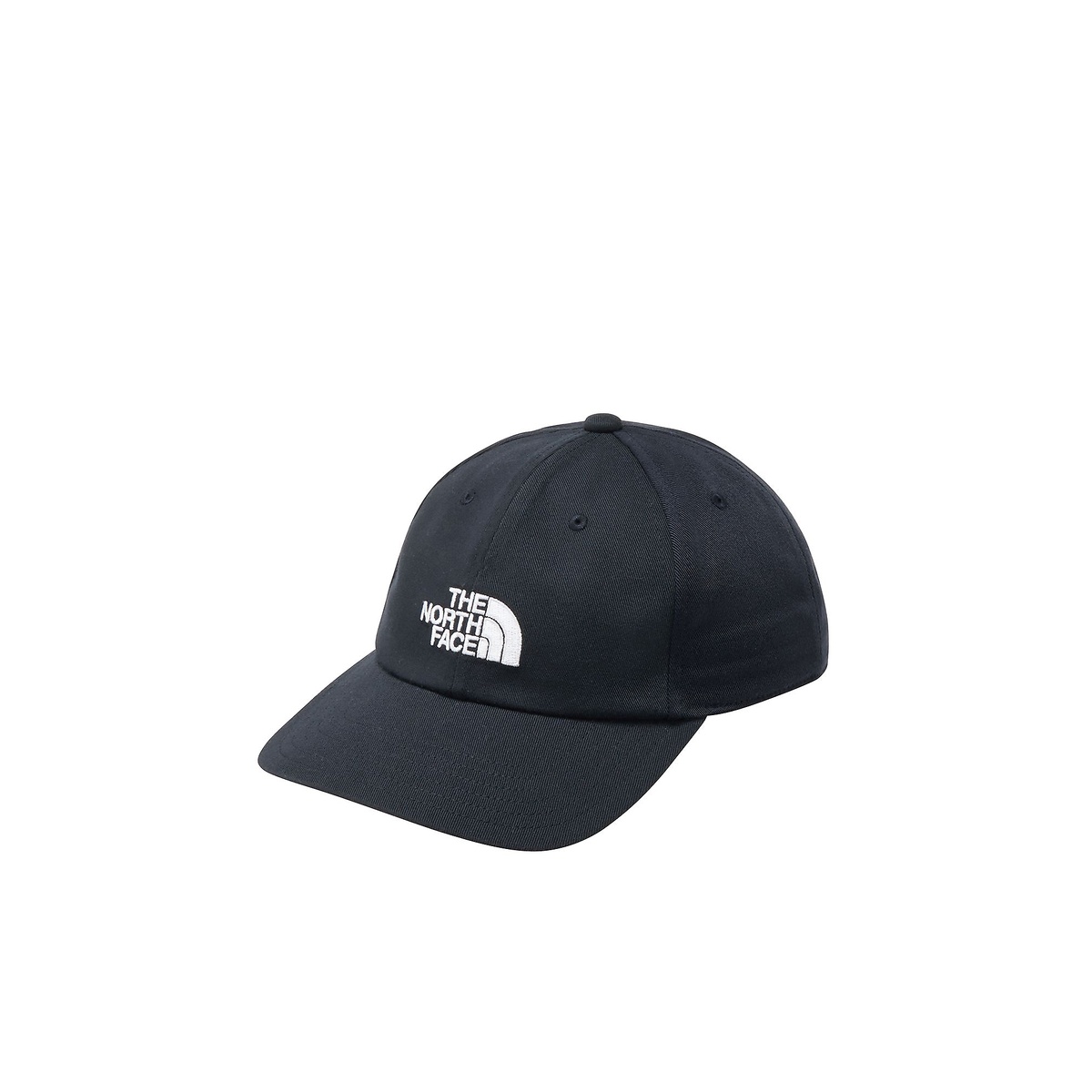 TNF LOGO CAP (TNFロゴキャップ)