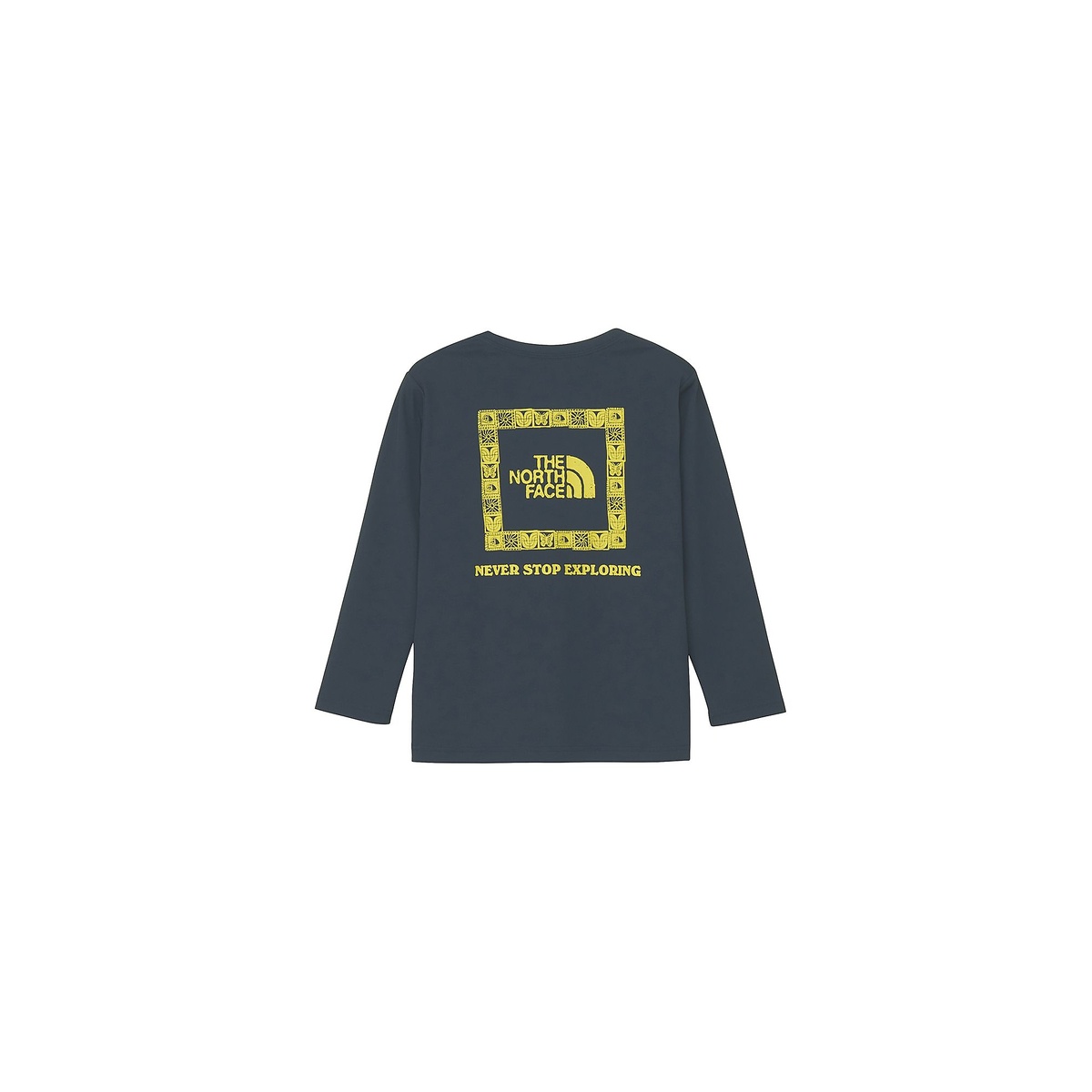 L/S BE FREE TEE (ロングスリーブTNFビーフリーグラフィックティー)