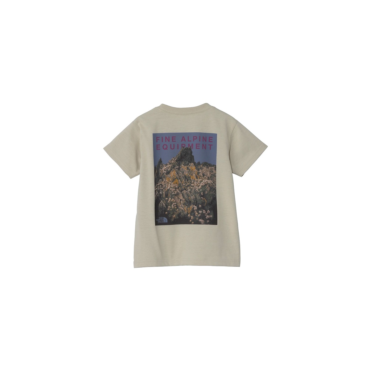 T S/S FIELD GRAP T (トドラーショートスリーブフィールドグラフィックティー)