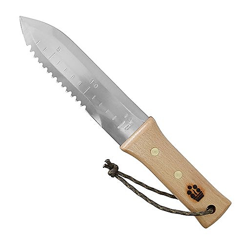 BONSAI＋山菜堀りステン