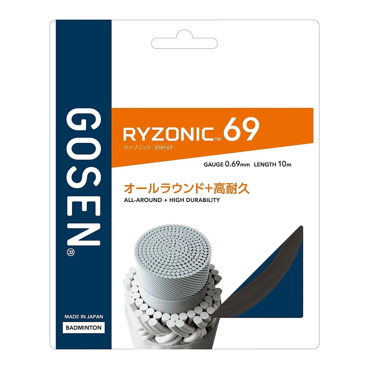 ライゾニック69