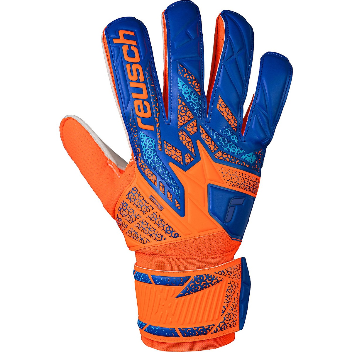 アトラクト ソリッド(REUSCH)