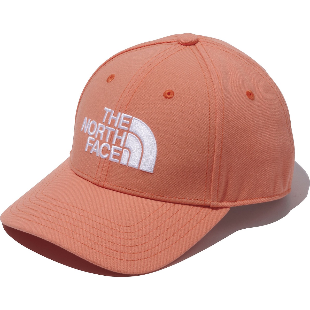 TNF Logo Cap (TNFロゴキャップ)