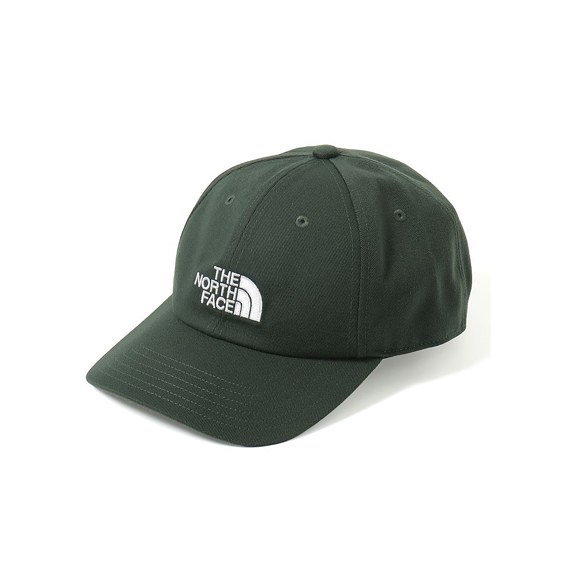 TNF LOGO CAP (TNFロゴキャップ)
