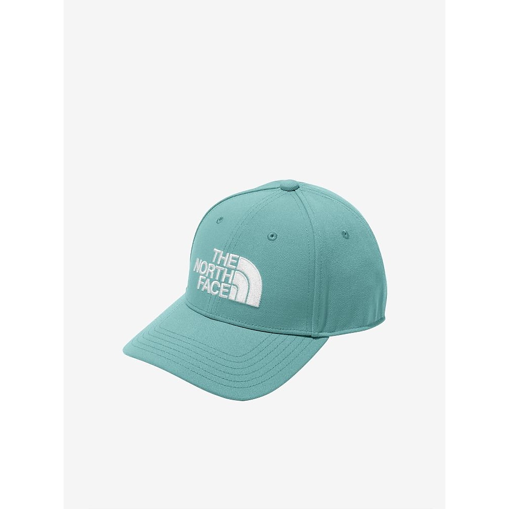 TNF Logo Cap (TNFロゴキャップ)