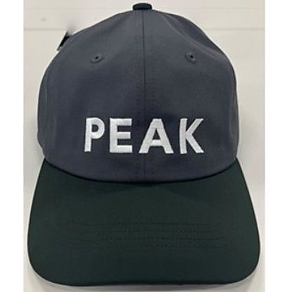 PEAK SNOW Graphic Cap One CHARCOAL