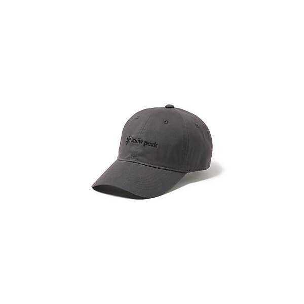 New Standard Logo Cap 2 CHARCOAL