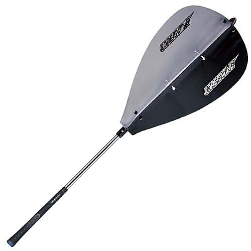 藤田 コアスイング