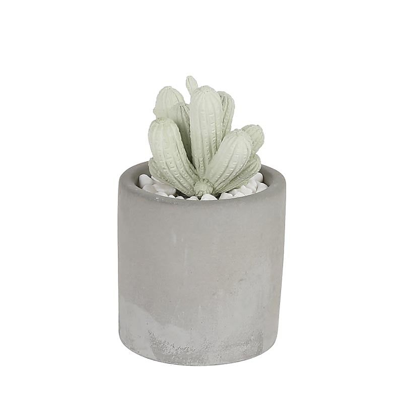 CACTUS FRAGRANCE DIFFUSER S.FLOWER