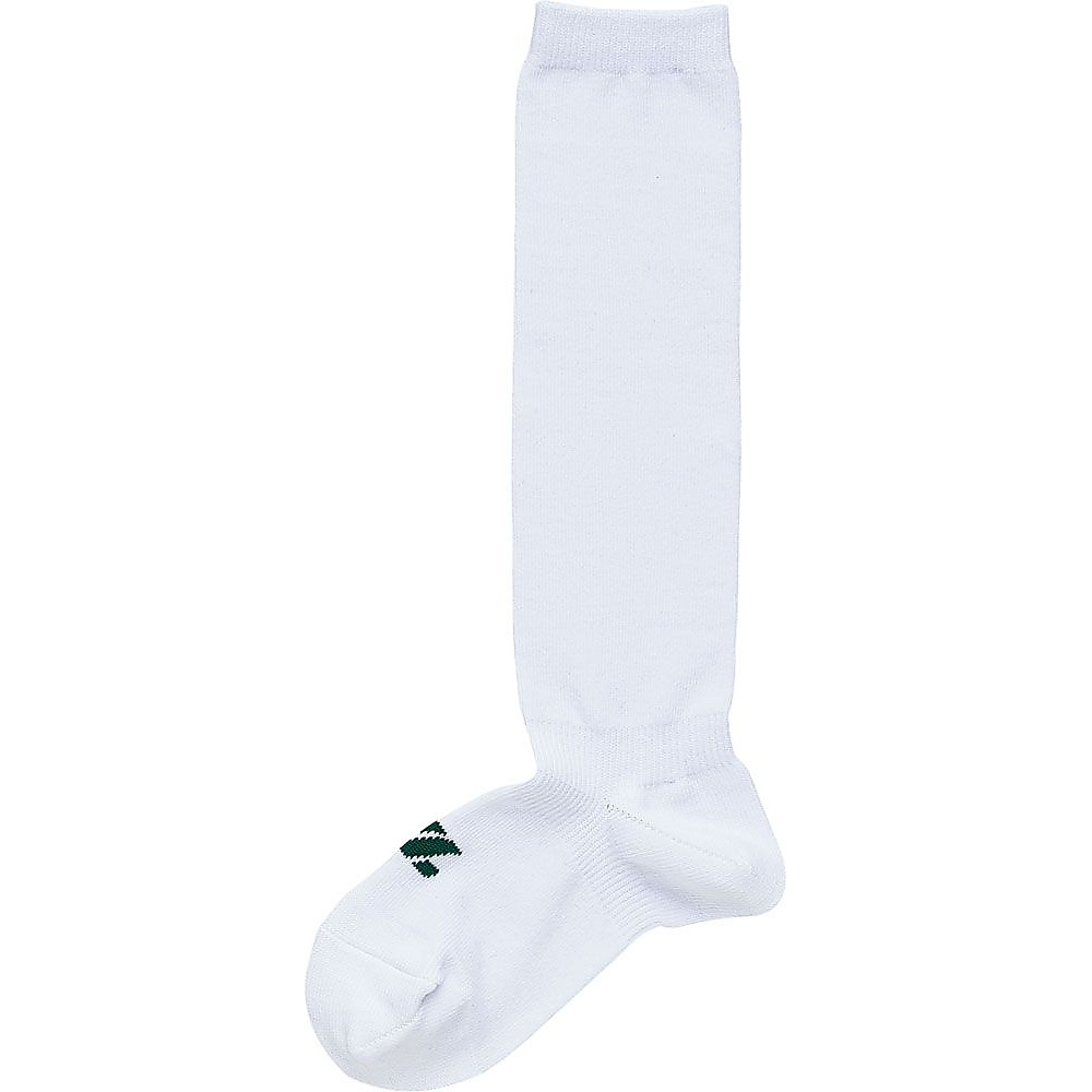 3Pソックス                  *