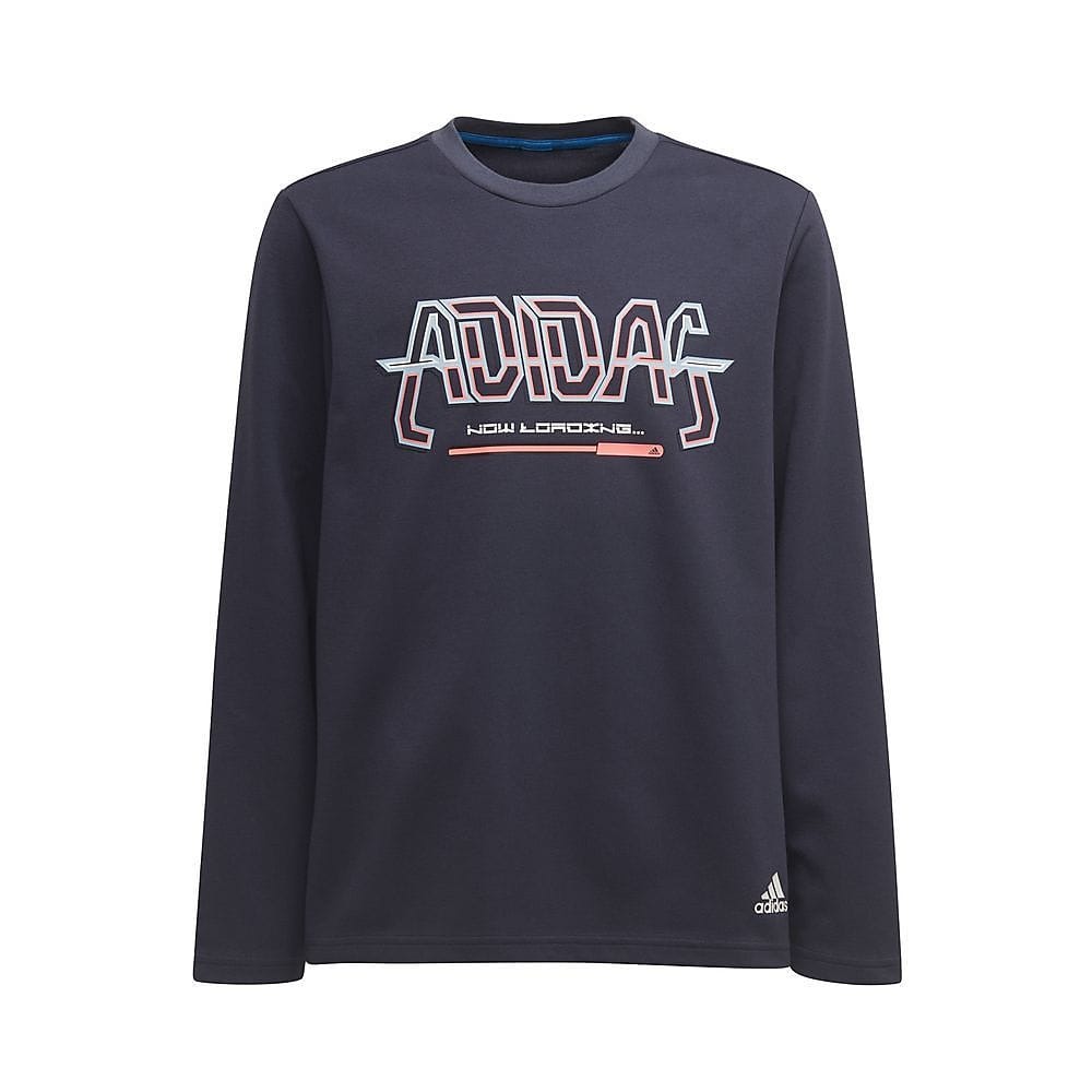 ARKD3 クルーネック スウェットシャツ / U ARKD3 CREW SWEATSHIRT
