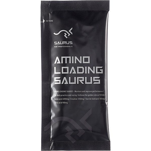 ローディングサウルス