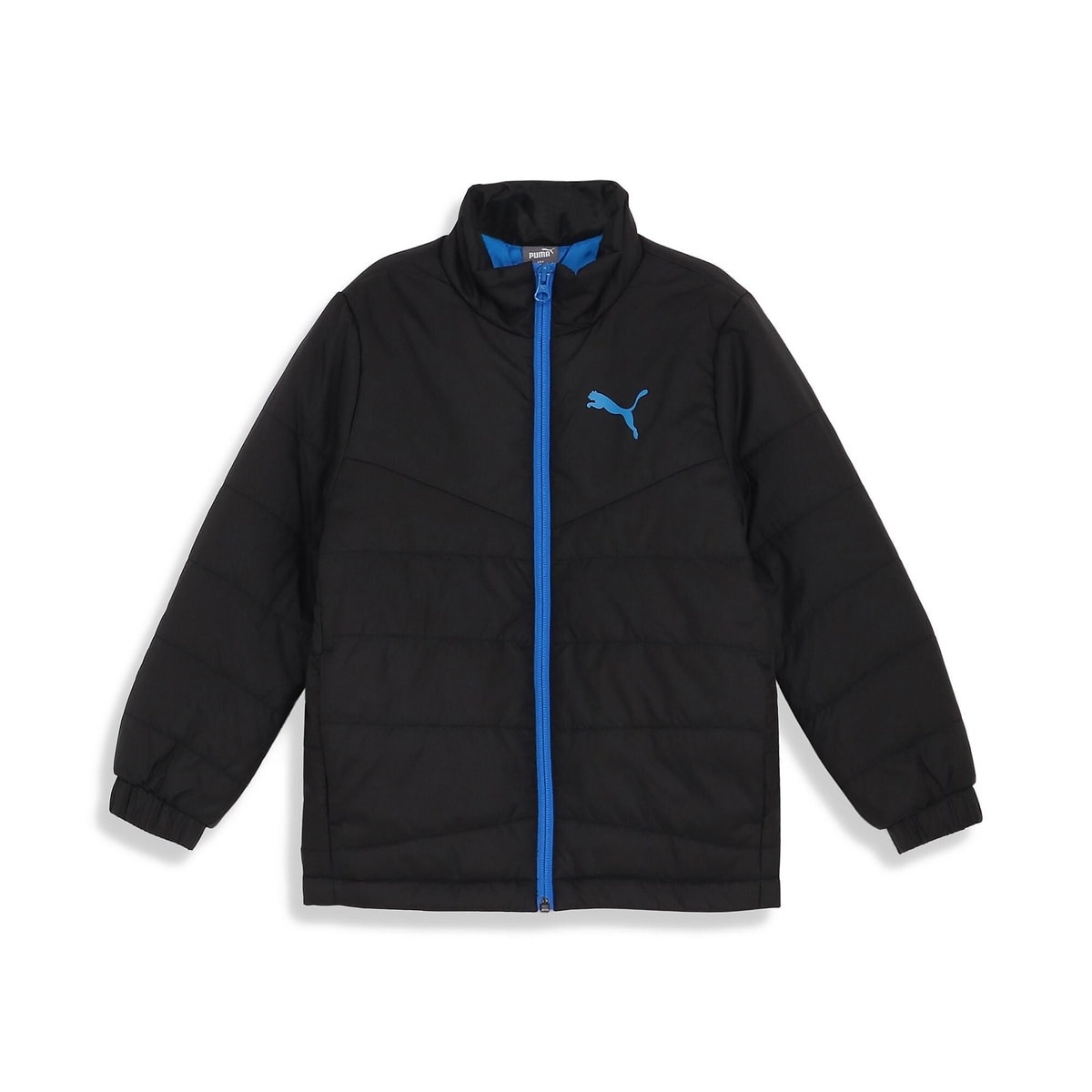 ACTIVE SPORTS パデッド ジャ