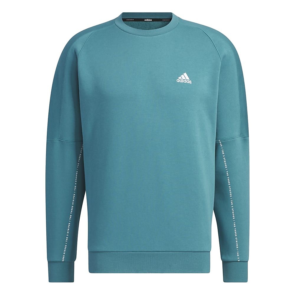 adidasアディダス - M WORD 裏起毛クルースウェット IJM05 IK7360/メガ