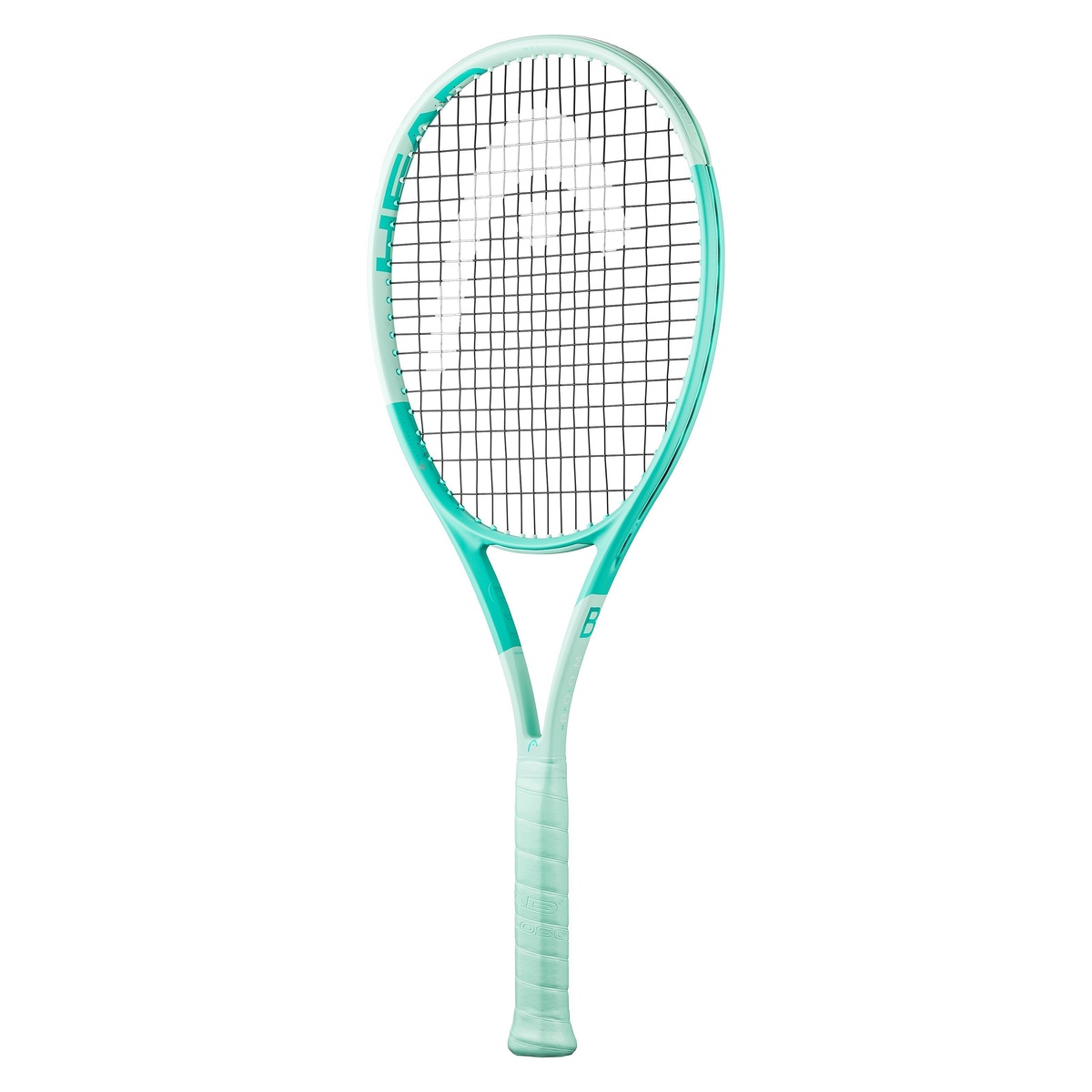 Boom MP L 2024 Alternate