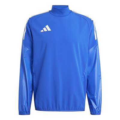 チームロイヤルブルー/ホワイト