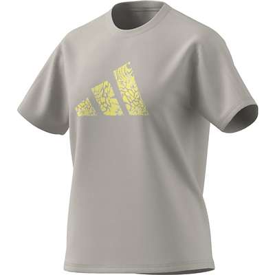 ワンダーアルミナ