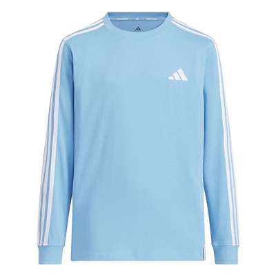 セミブルーバースト