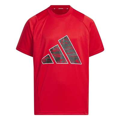 ベタースカーレット