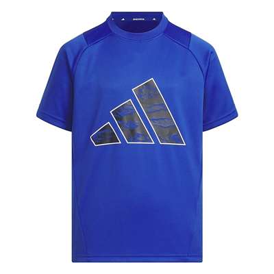 チームロイヤルブルー