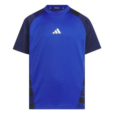 チームロイヤルブルー