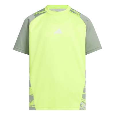 ソーラースライム