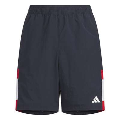 レジェンドインク/ベタースカーレット/ダッシュグレー