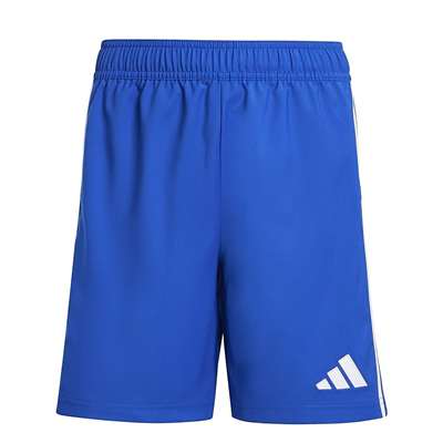 チームロイヤルブルー