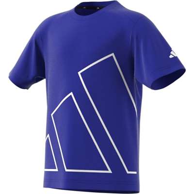 ルシッドブルー