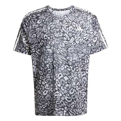 ダッシュグレー/ブラック