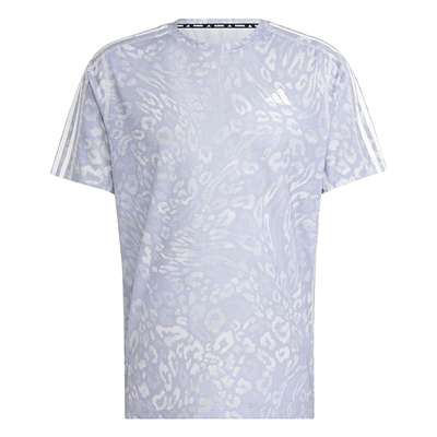 ダッシュグレー/バイオレットトーン